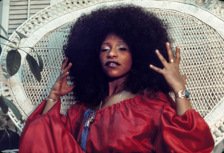 CHAKA KHAN - Barry Schultz Photography