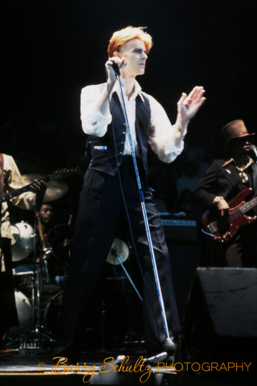 DAVID BOWIE - Barry Schultz Photography