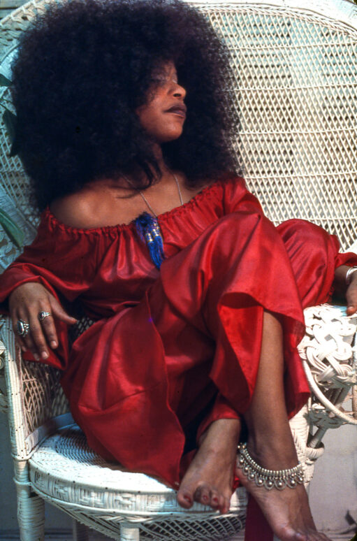 CHAKA KHAN - Barry Schultz Photography